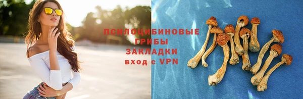 ALPHA PVP Гусев