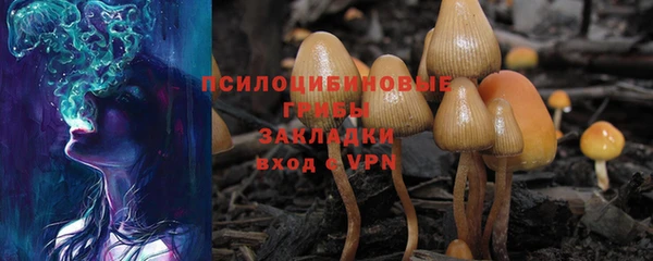 дурь Дмитриев