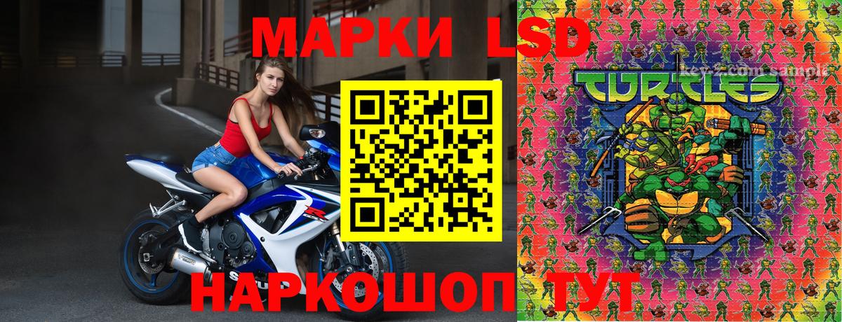 Марки NBOMe 1500мкг  Марки NBOMe 1500мкг  Назарово  сколько стоит  Вход с VPN 